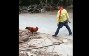 一场武林对决